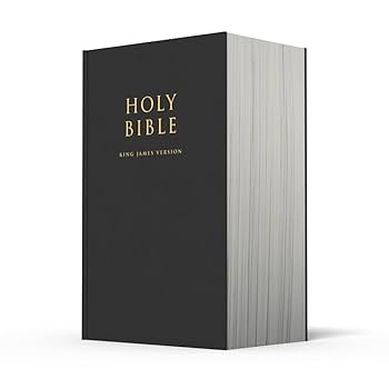 PRECIOUS HOLY BIBLE KING JAMES
